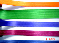 Poly Belt